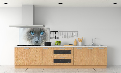 Achterwand keuken Blauwogige kat
