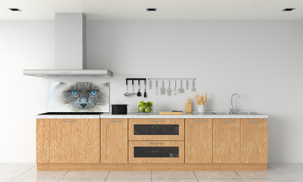 Achterwand keuken Blauwogige kat