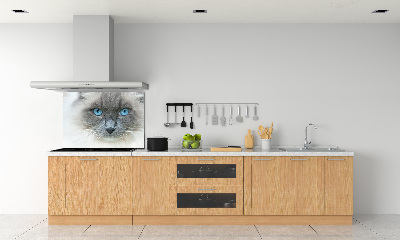 Achterwand keuken Blauwogige kat