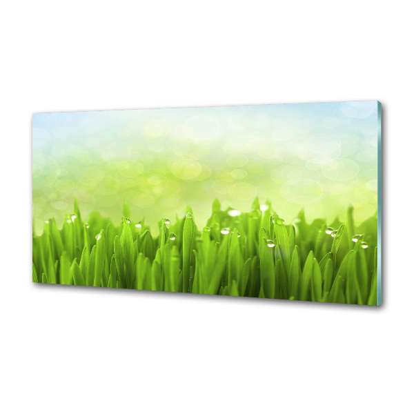 Spatscherm keuken Gras