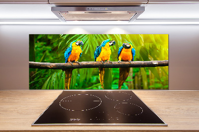 Spatscherm keuken Papegaaien op een tak
