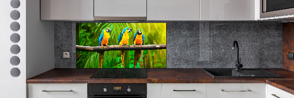 Spatscherm keuken Papegaaien op een tak
