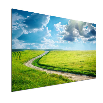 Spatplaat keuken Pad in de weide