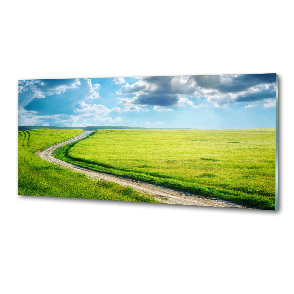 Spatplaat keuken Pad in de weide