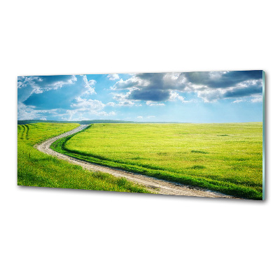 Spatplaat keuken Pad in de weide