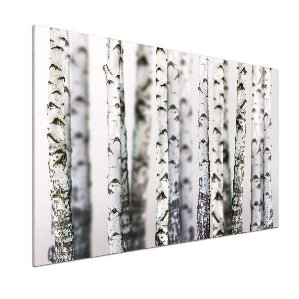 Spatplaat keuken Berkenstammen