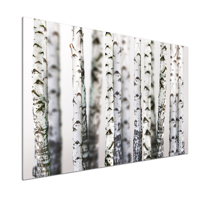 Spatplaat keuken Berkenstammen