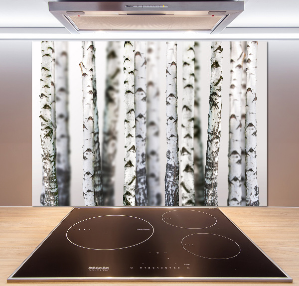 Spatplaat keuken Berkenstammen