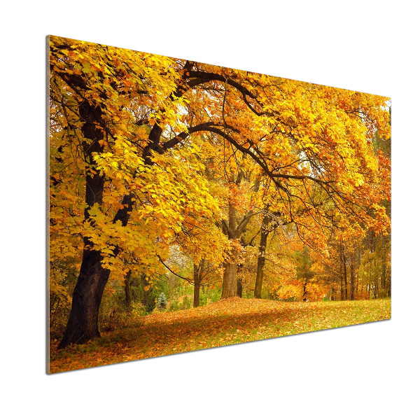 Glazen achterwand keuken De herfst in het park