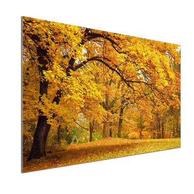 Glazen achterwand keuken De herfst in het park