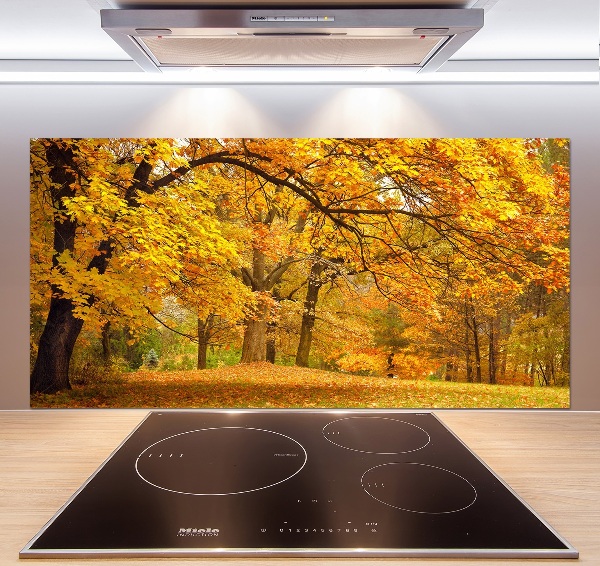 Glazen achterwand keuken De herfst in het park