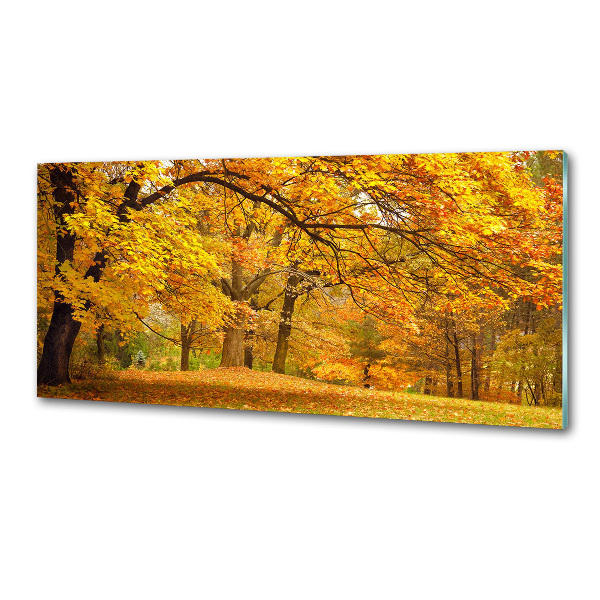 Glazen achterwand keuken De herfst in het park