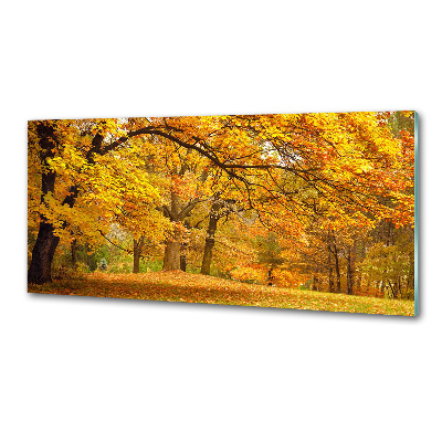 Glazen achterwand keuken De herfst in het park