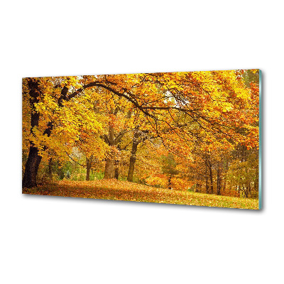 Glazen achterwand keuken De herfst in het park