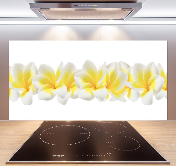 Glazen achterwand keuken Plumeria