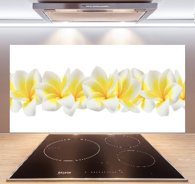 Glazen achterwand keuken Plumeria
