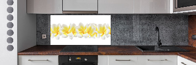 Glazen achterwand keuken Plumeria