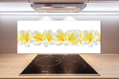 Glazen achterwand keuken Plumeria