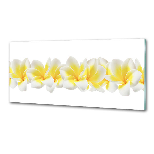 Glazen achterwand keuken Plumeria