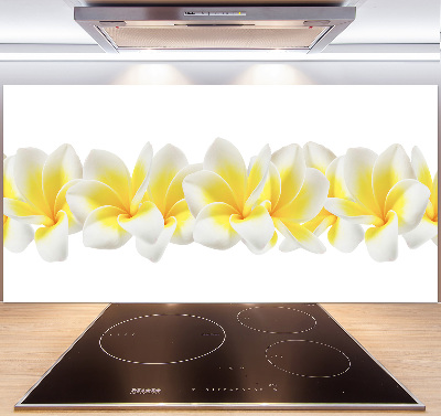 Glazen achterwand keuken Plumeria