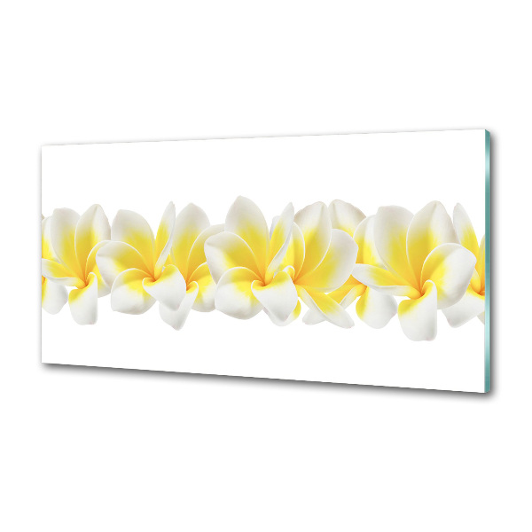 Glazen achterwand keuken Plumeria