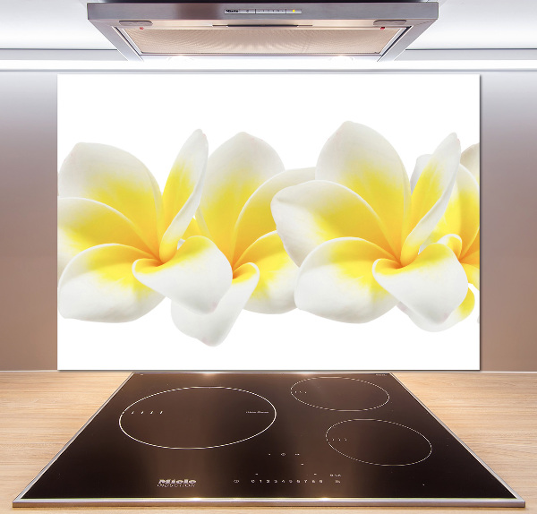 Glazen achterwand keuken Plumeria