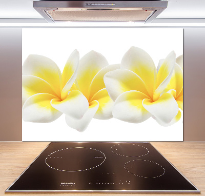 Glazen achterwand keuken Plumeria