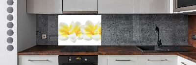 Glazen achterwand keuken Plumeria