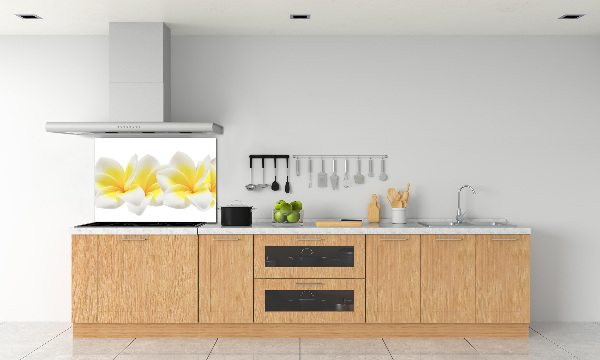 Glazen achterwand keuken Plumeria