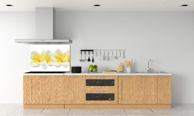Glazen achterwand keuken Plumeria