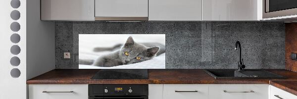 Glazen achterwand keuken Grijze kat