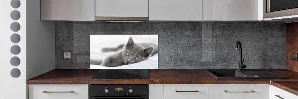 Glazen achterwand keuken Grijze kat