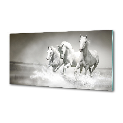 Achterwand keuken Witte paarden