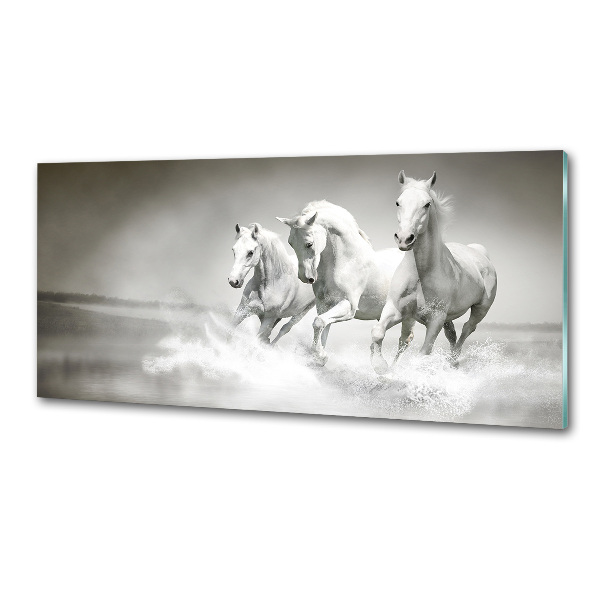 Achterwand keuken Witte paarden