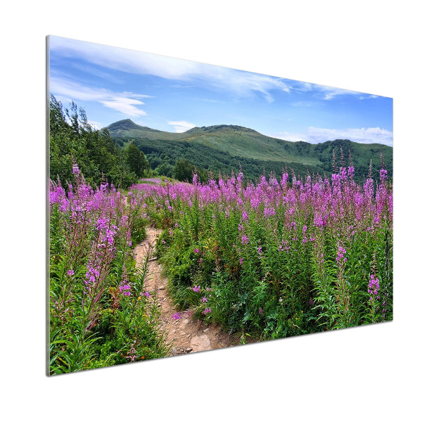 Spatscherm keuken Groene heuvels