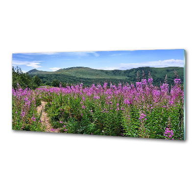 Spatscherm keuken Groene heuvels