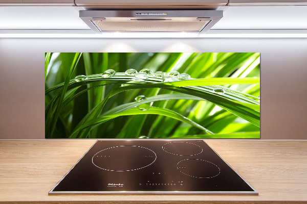 Spatscherm keuken Druppels op het gras