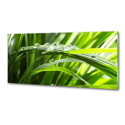 Spatscherm keuken Druppels op het gras