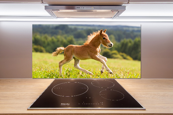 Spatscherm keuken Een veulen dat galoppeert