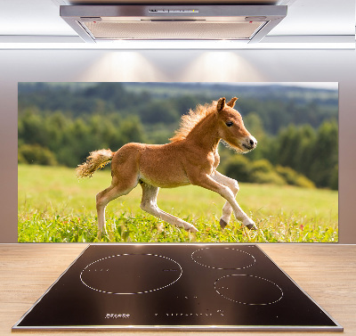 Spatscherm keuken Een veulen dat galoppeert