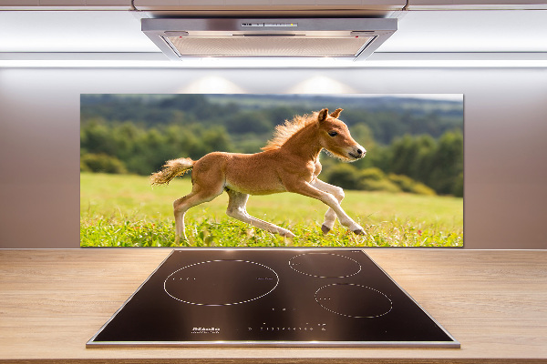 Spatscherm keuken Een veulen dat galoppeert