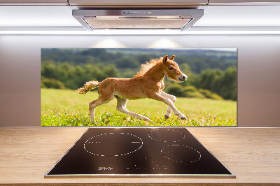 Spatscherm keuken Een veulen dat galoppeert