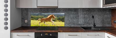 Spatscherm keuken Een veulen dat galoppeert