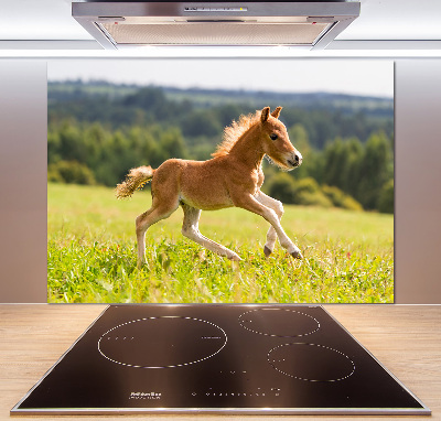 Spatscherm keuken Een veulen dat galoppeert