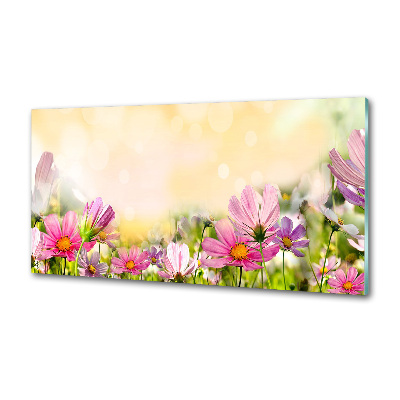 Spatplaat keuken Klaprozen