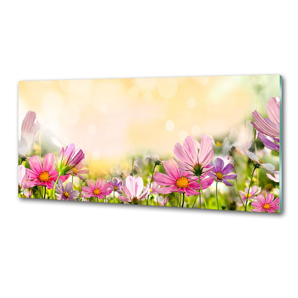 Spatplaat keuken Klaprozen