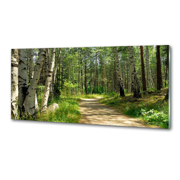 Spatscherm keuken Pad in het bos