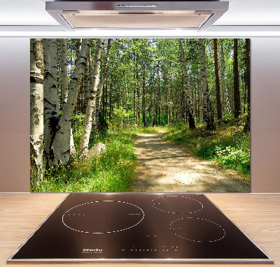 Spatscherm keuken Pad in het bos