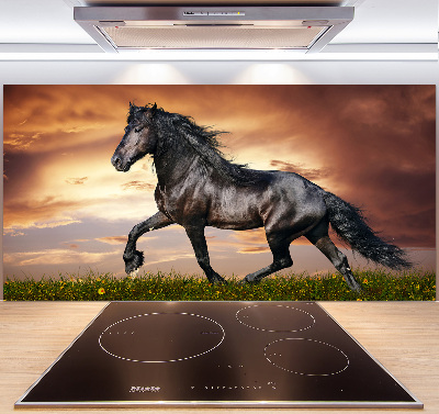 Spatplaat keuken Dravend paard