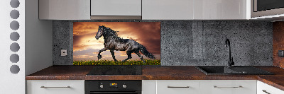 Spatplaat keuken Dravend paard